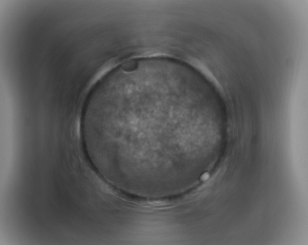 X0000113541173200910021343