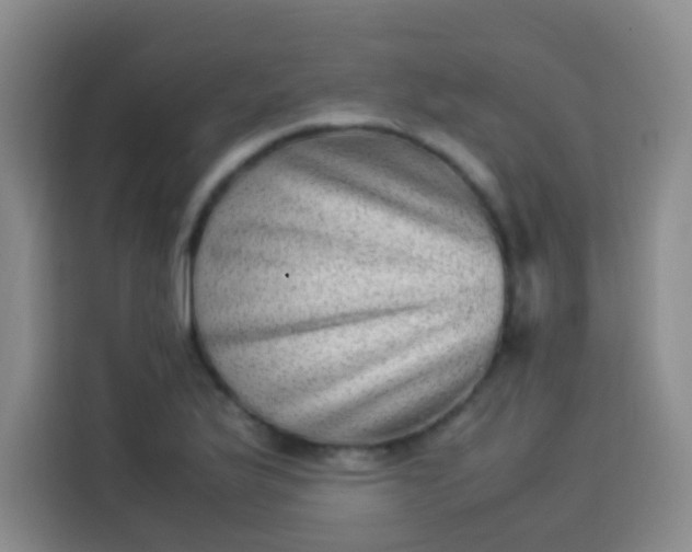 X0000113541175200910021343