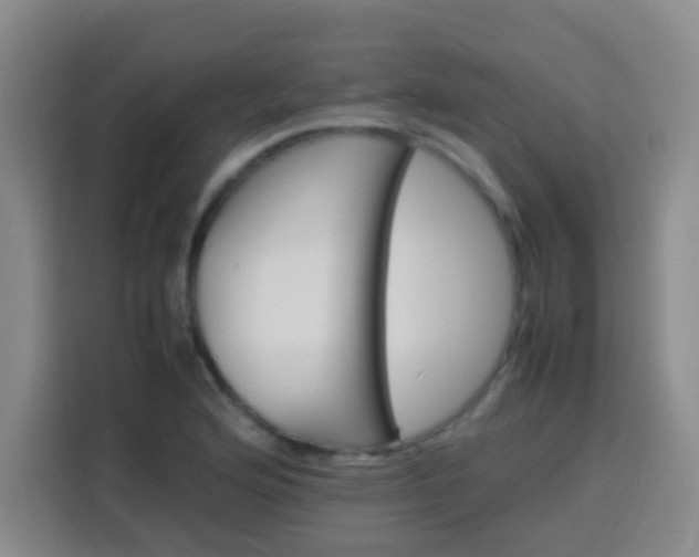 X0000113541176200910021343