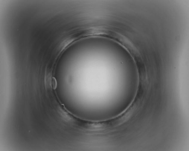 X0000113541177200910021343