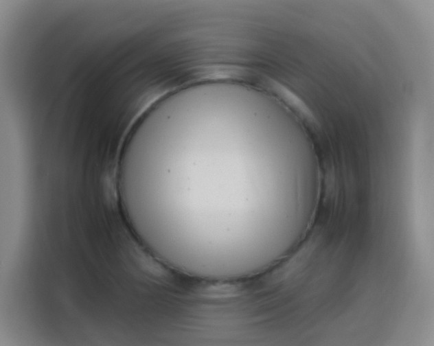 X0000113541178200910021343