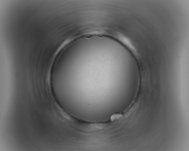 X0000113541181200910021343