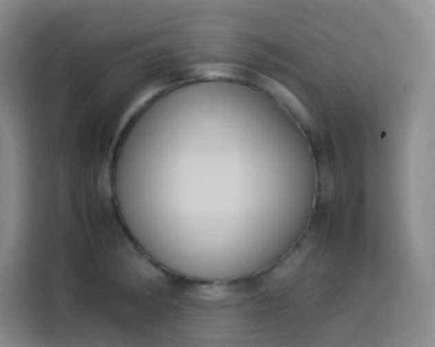 X0000113541182200910021343