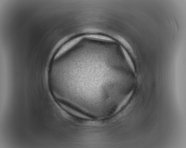 X0000113541183200910021343