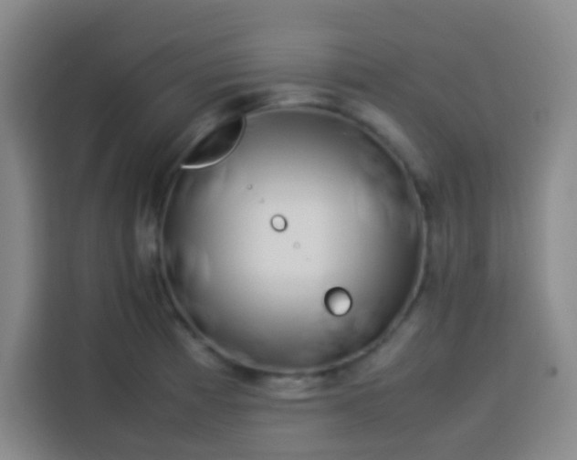 X0000113541185200910021343