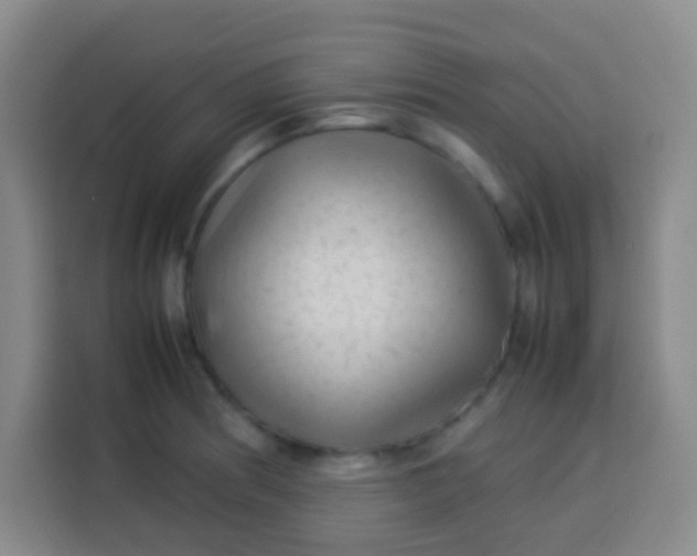 X0000113541186200910021343