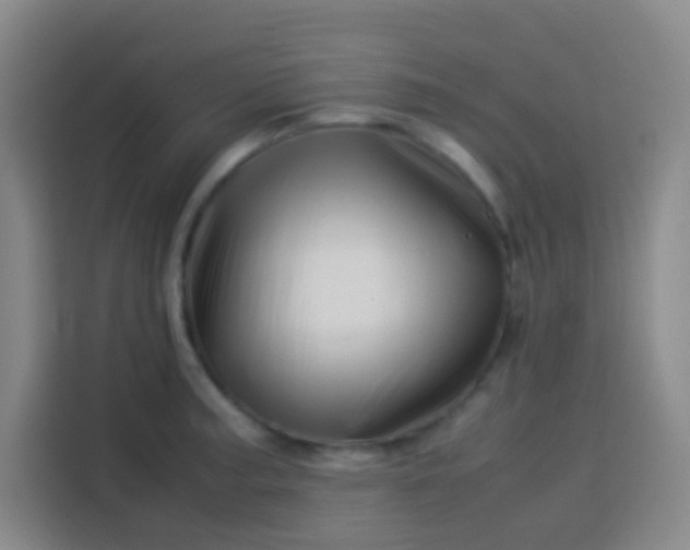 X0000113541187200910021343