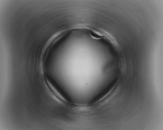 X0000113541188200910021343