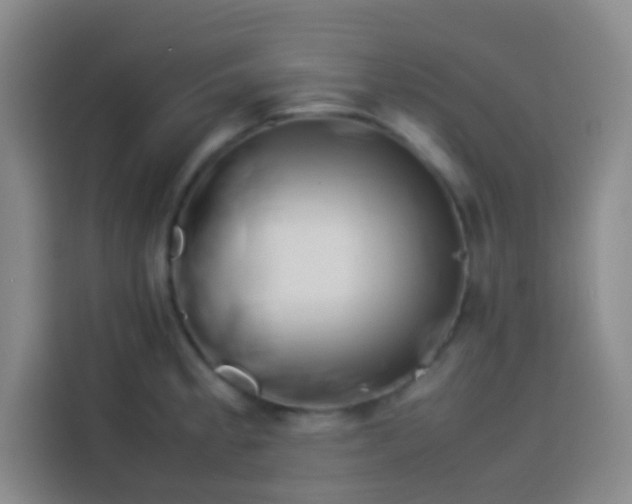 X0000113541189200910021343