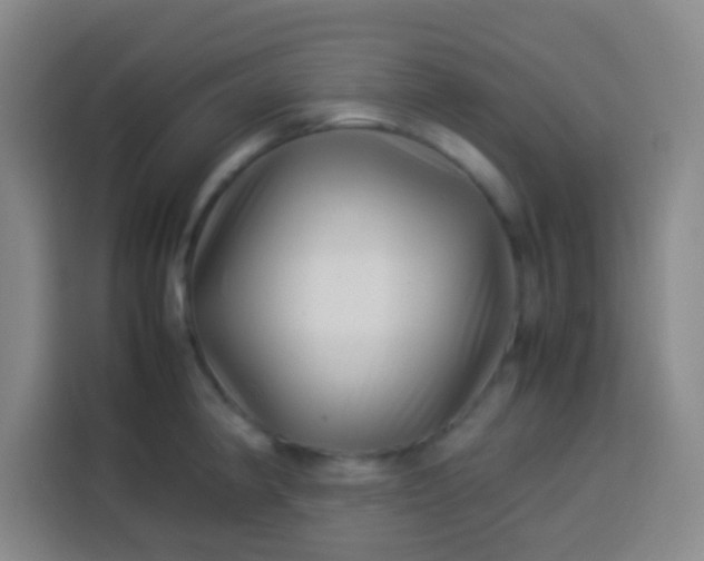 X0000113541190200910021343