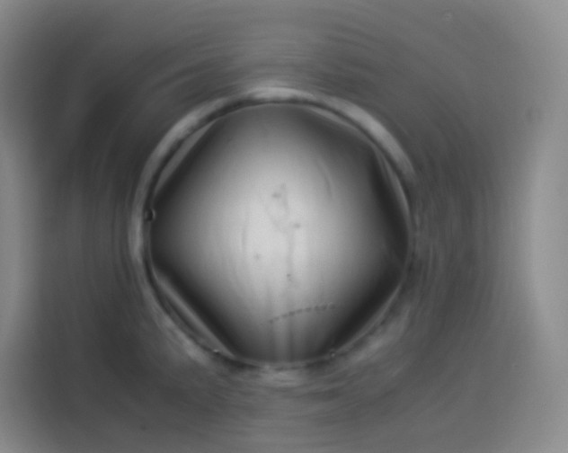 X0000113541191200910021343