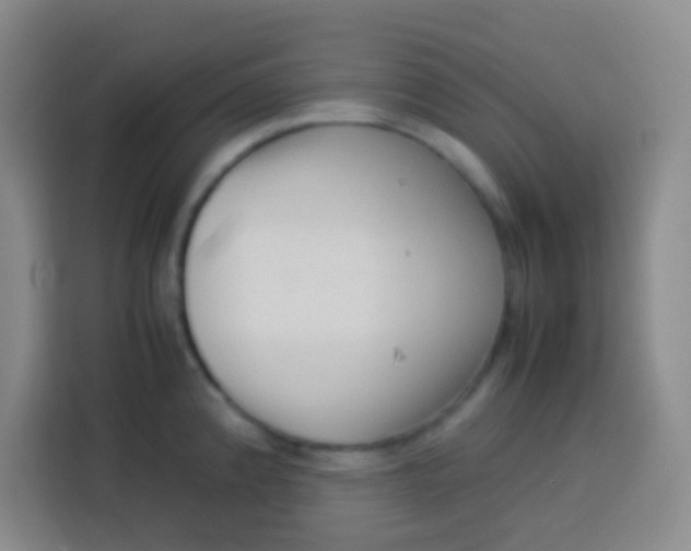 X0000113541192200910021343