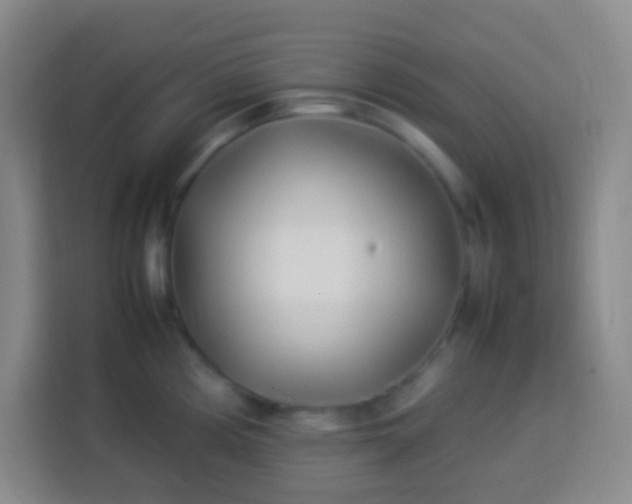 X0000113541194200910021343