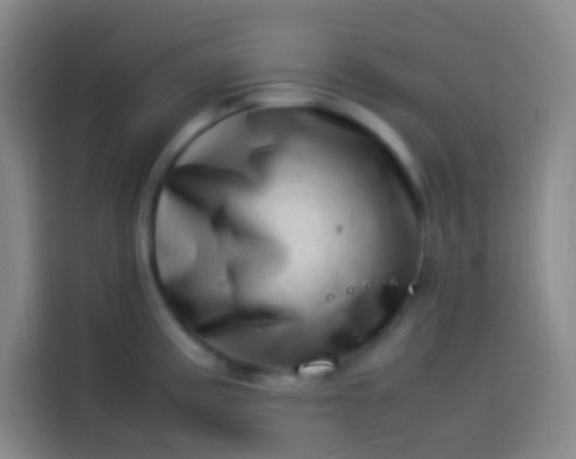 X0000113541195200910021343