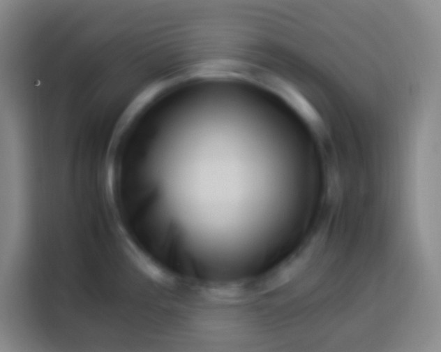 X0000113541196200910021343