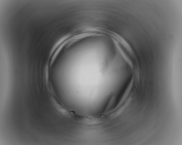 X0000113541198200910021343