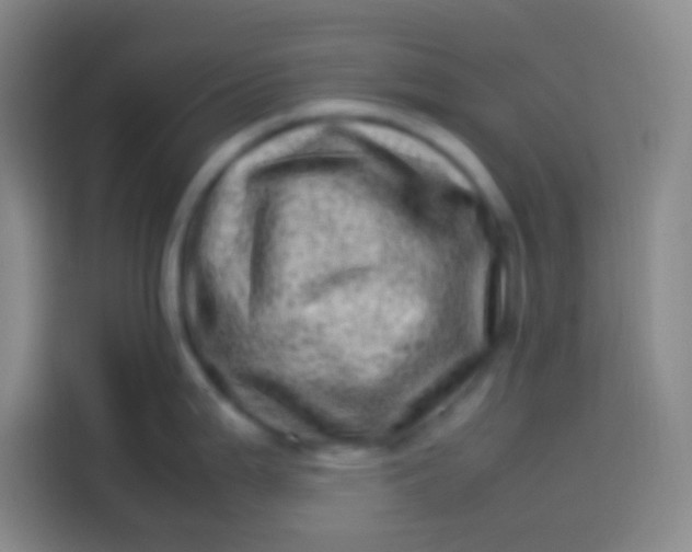 X0000113541199200910021343