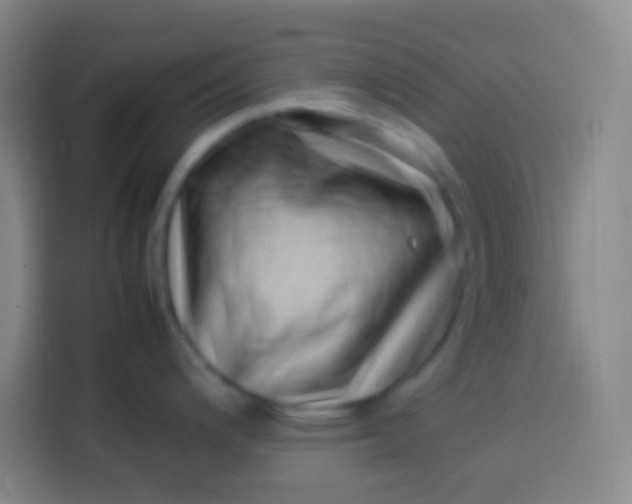 X0000113541200200910021343