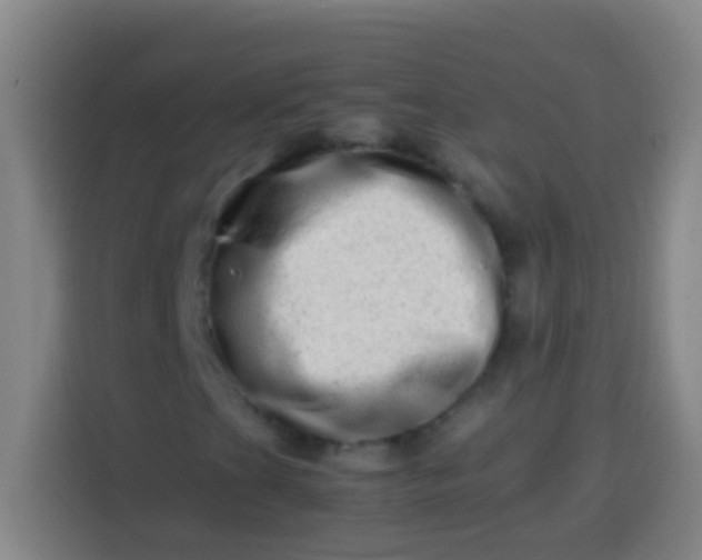 X0000113541201200910021342