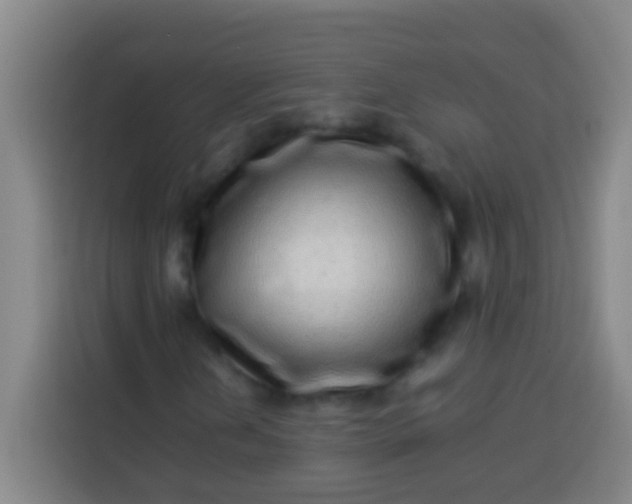 X0000113541202200910021342