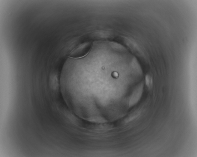 X0000113541203200910021342