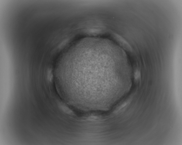 X0000113541204200910021342