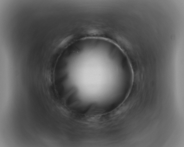 X0000113541205200910021342