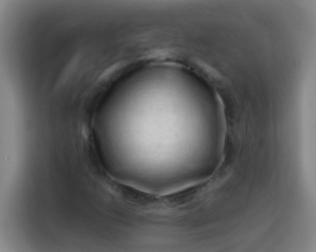 X0000113541206200910021343