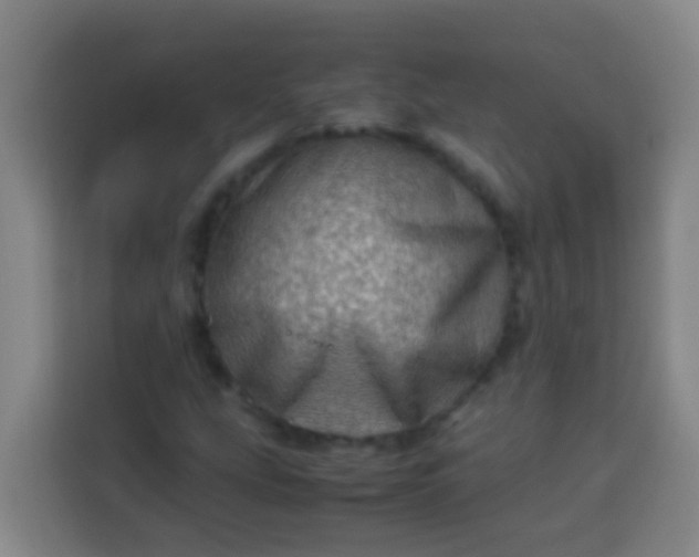 X0000113541207200910021343