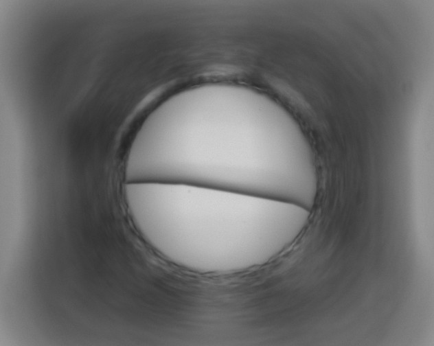 X0000113541208200910021343