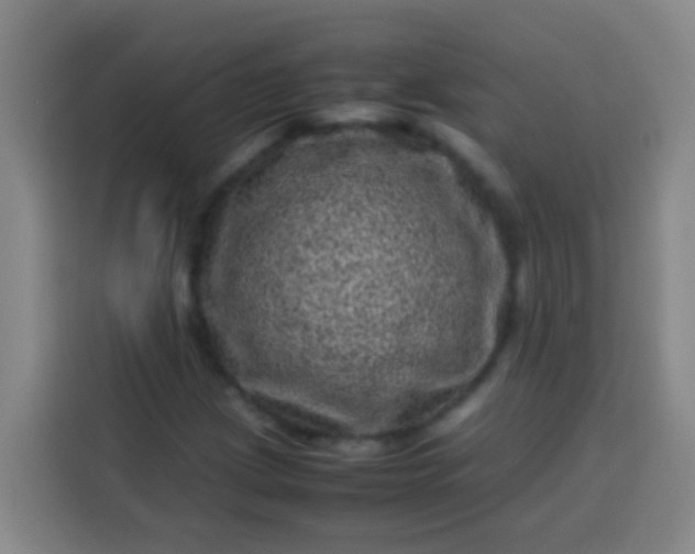 X0000113541209200910021343