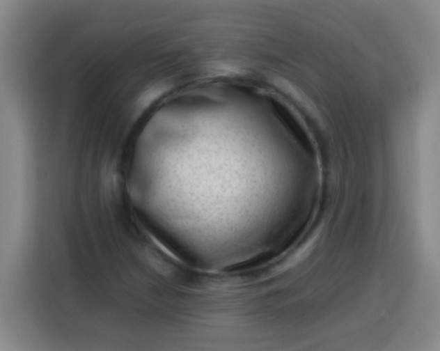 X0000113541210200910021343