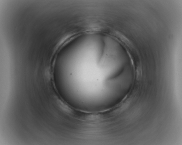 X0000113541212200910021343