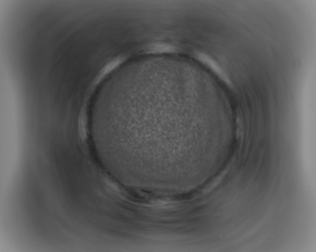 X0000113541213200910021343