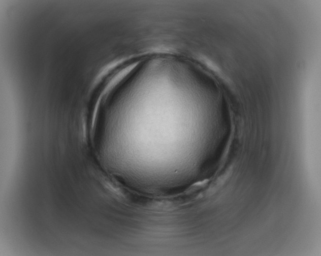 X0000113541214200910021343