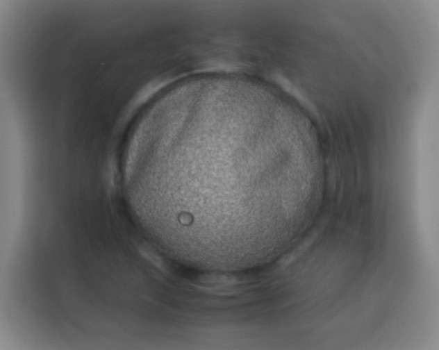 X0000113541215200910021343