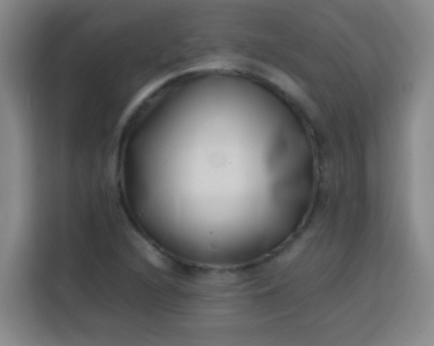 X0000113541216200910021343