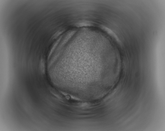 X0000113541217200910021343