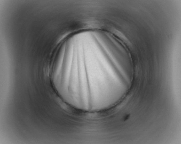 X0000113541220200910021343