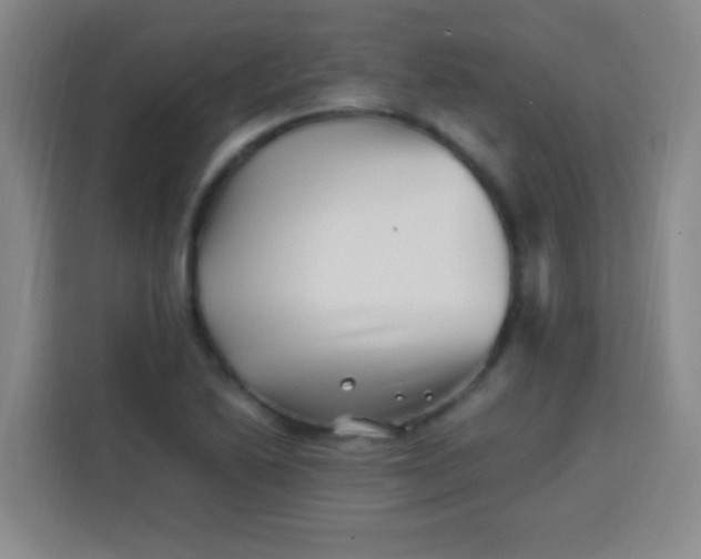 X0000113541222200910021343