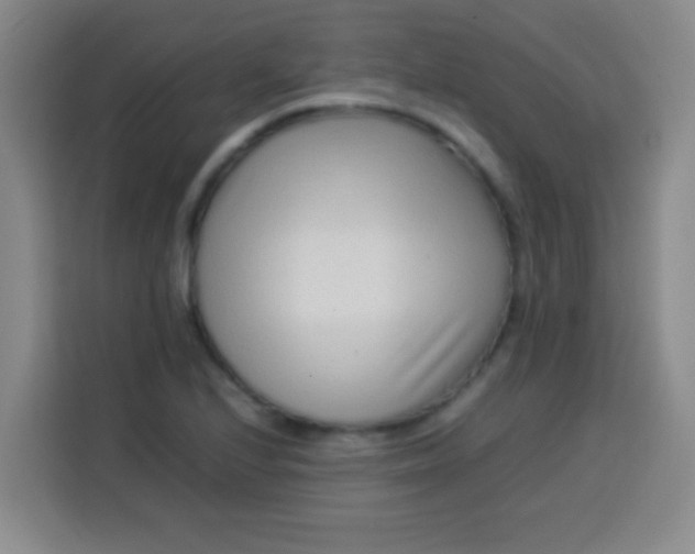 X0000113541224200910021343