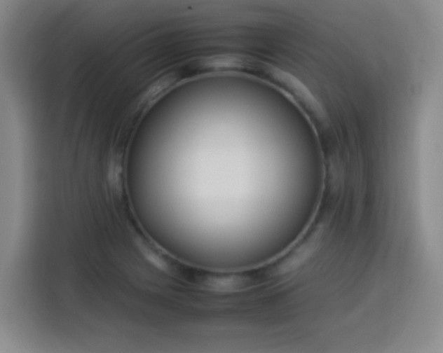 X0000113541225200910021343