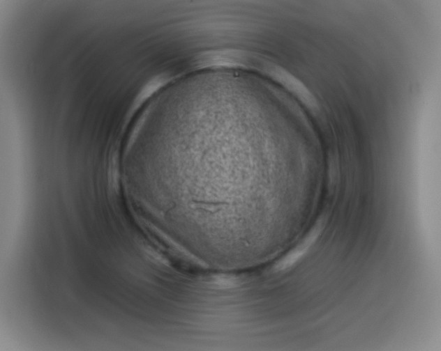 X0000113541226200910021343