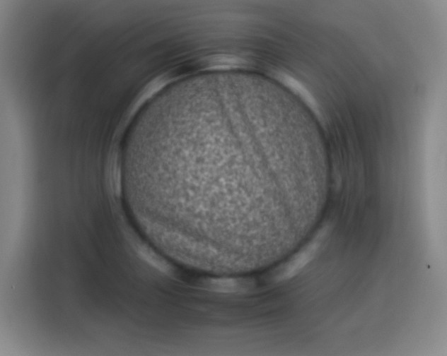 X0000113541227200910021343