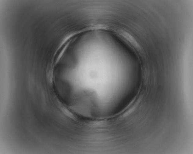 X0000113541228200910021343