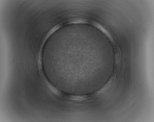 X0000113541229200910021343