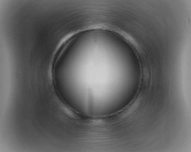 X0000113541230200910021343