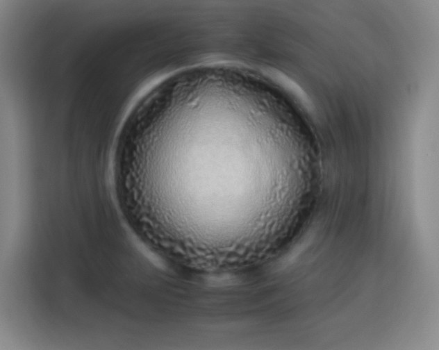 X0000113541231200910021343