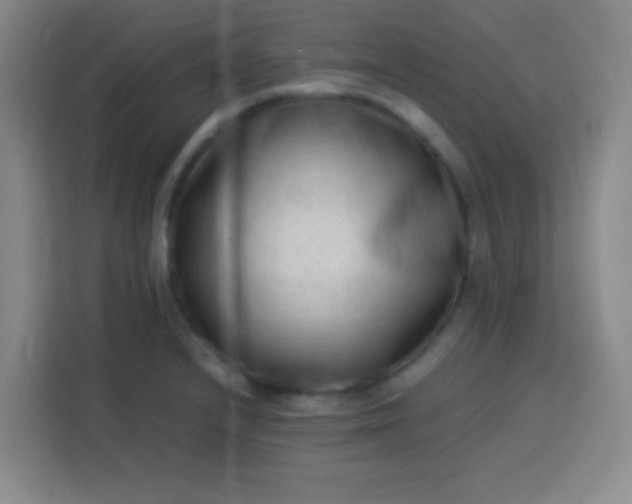 X0000113541232200910021343