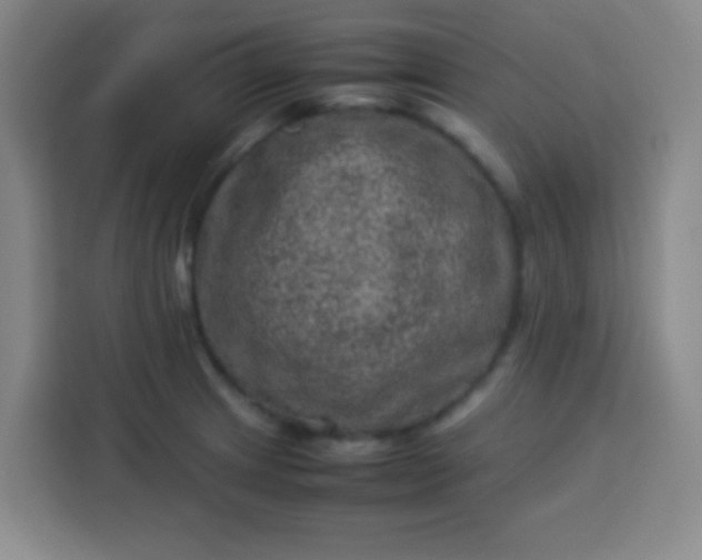 X0000113541233200910021343